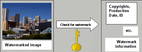 Digital Watermarking